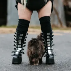 Puszysty kotek między butami w stylu emo.