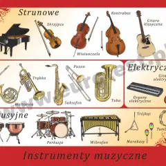 Instrumenty muzyki klasycznej: Jak brzmi orkiestra symfoniczna?