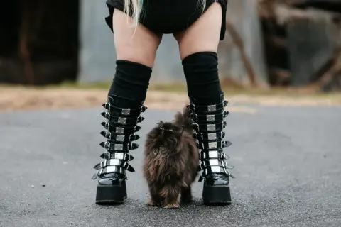 Puszysty kotek między butami w stylu emo.