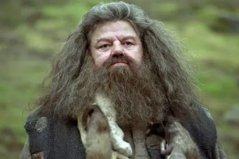 Rubeus Hagrid, grany przez aktora Robbiego Coltrane'a, z bujną brodą i rozwichrzonymi włosami, w charakterystycznym płaszczu.