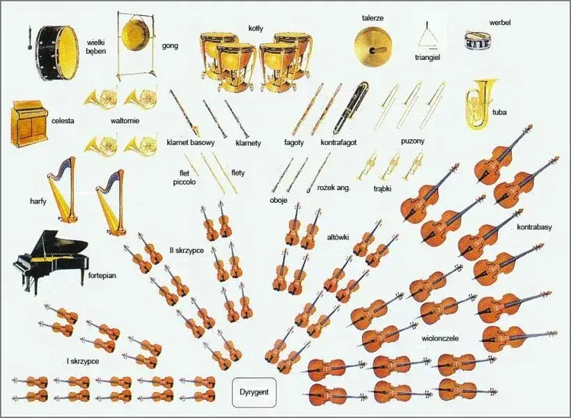 orkiestra symfoniczna instrumenty podział